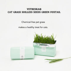 VETRESKA Cat Grass Soilless Seeds
