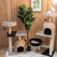 HONEYPOT CAT® Bulrush Cat Tree typeD 135cm