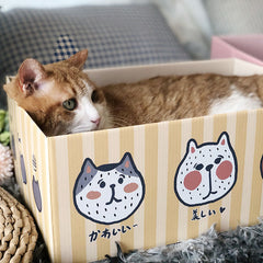 MISSPET® Stripes Box Type Cat Scratcher