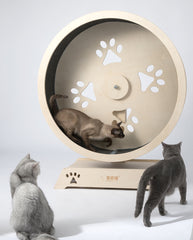 HONEYPOT CAT Cat Wheel Cat Exercise Treadmill Detachable Carpet - 190211L (120cm)