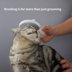 Furrytail Cream Pet Brush
