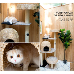 HONEYPOT CAT® Bulrush Cat Tree 153cm